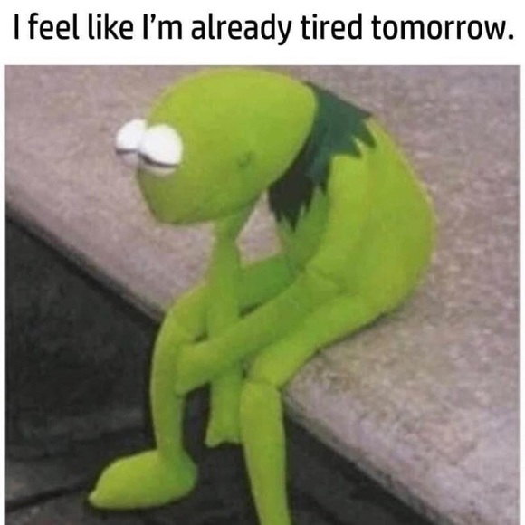 Meet your Posher, Olivia - Picture 1 of 1